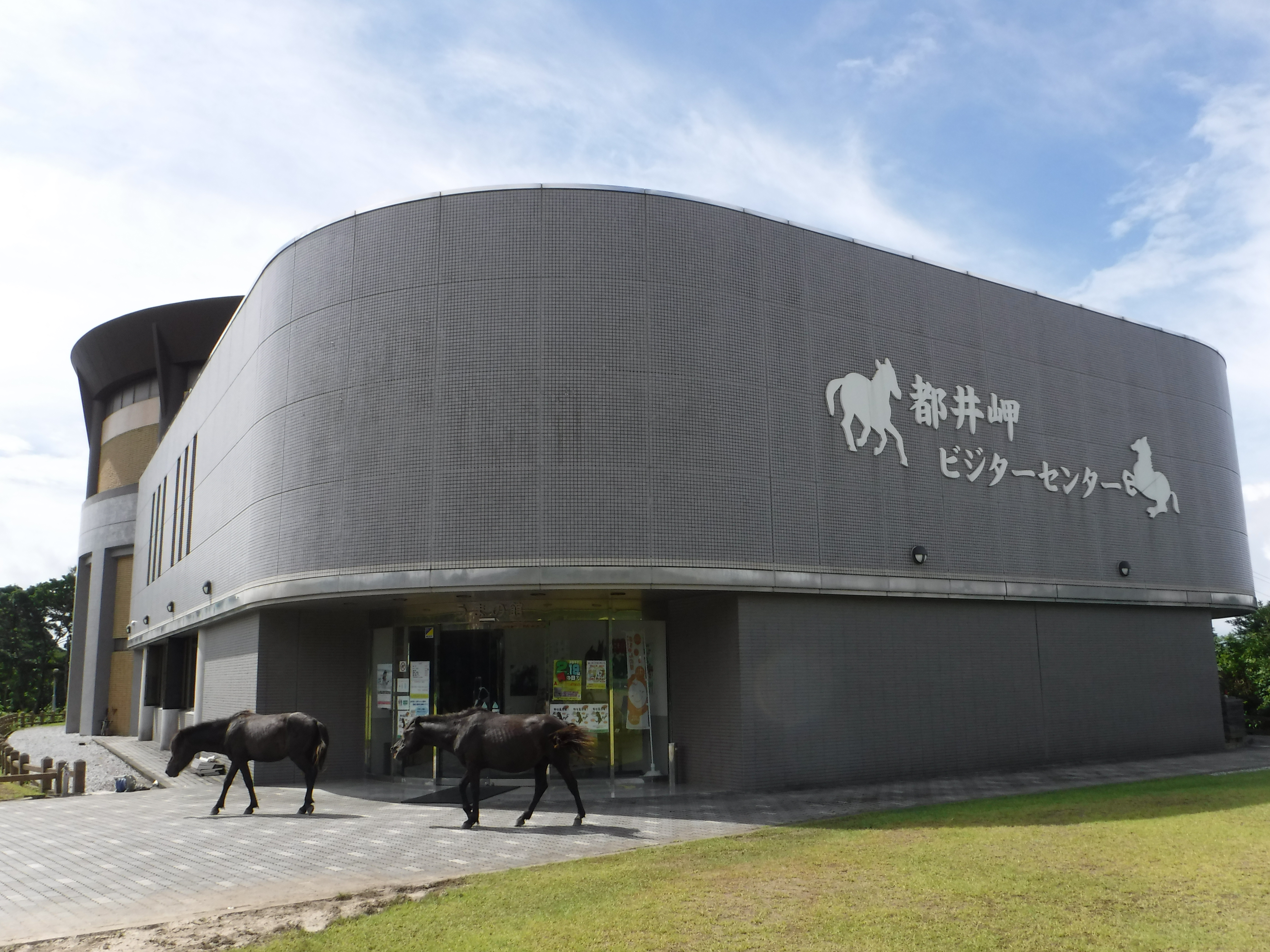 都井岬ビジターセンター うまの館 ほっと にちなんくしま